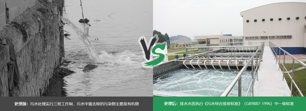 食品厂废水处理案例